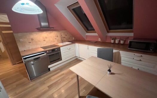 DO WYNAJĘCIA DUŻE MIESZKANIE 3 POKOJOWE NA MAŚLICACH