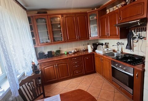 DUŻY DOM WOLNOSTOJĄCY W WOŁOWIE