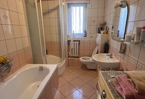 DUŻY DOM WOLNOSTOJĄCY W WOŁOWIE