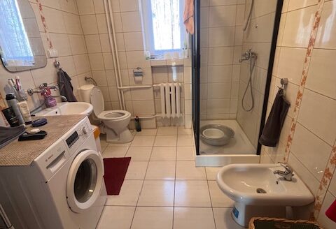 DUŻY DOM WOLNOSTOJĄCY W WOŁOWIE