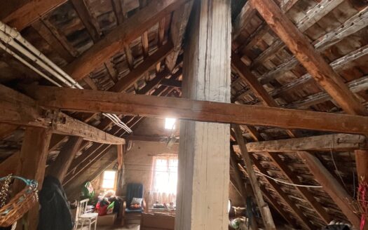 BIAŁAWY MAŁE – WILLOWE MIESZKANIE Z OGRODEM