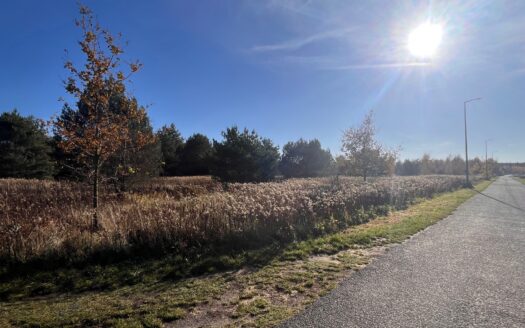 CHRZĄSTAWA MAŁA – ATRAKCYJNA DZIAŁKA Z MEDIAMI